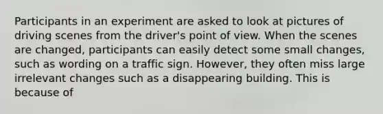 Participants in an experiment are asked to look at pictures of driving scenes from the driver's point of view. When the scenes are changed, participants can easily detect some small changes, such as wording on a traffic sign. However, they often miss large irrelevant changes such as a disappearing building. This is because of