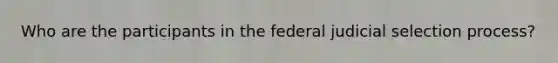 Who are the participants in the federal judicial selection process?