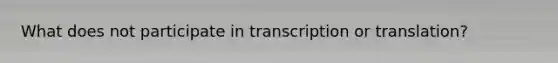 What does not participate in transcription or translation?