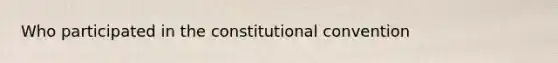 Who participated in the constitutional convention