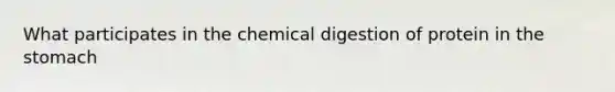 What participates in the chemical digestion of protein in the stomach