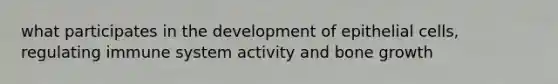 what participates in the development of epithelial cells, regulating immune system activity and bone growth