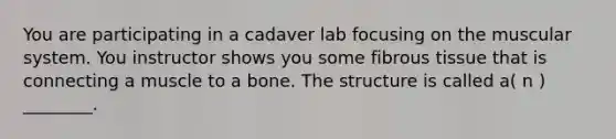 You are participating in a cadaver lab focusing on the muscular system. You instructor shows you some fibrous tissue that is connecting a muscle to a bone. The structure is called a( n ) ________.