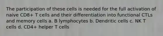 The participation of these cells is needed for the full activation of naive CD8+ T cells and their differentiation into functional CTLs and memory cells a. B lymphocytes b. Dendritic cells c. NK T cells d. CD4+ helper T cells