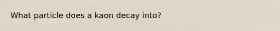 What particle does a kaon decay into?