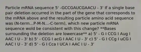 Particle mRNA sequence 5' -GCCGAUCGAACU - 3' If a single base pair deletion occurred in the part of the gene that corresponds to the mRNA above and the resulting particle amino acid sequence was (N-term...P-M-N...-C-term), which new particle mRNA sequence wold be consistent with this change? **Bases surrounding the deletion are lowercase** a) 5' - G I CCG I Aug I AAC I U - 3' b) 5' - CCG I acG I AAC I U - 3' c) 5' - G I CCg I uCG I AAC I U - 3' d) 5' - G I Cca I UCA I AAC I U - 3'