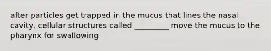 after particles get trapped in the mucus that lines the nasal cavity, cellular structures called _________ move the mucus to the pharynx for swallowing