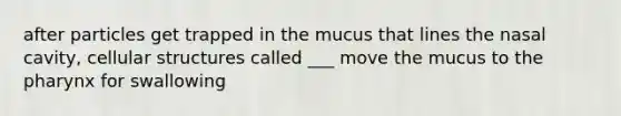 after particles get trapped in the mucus that lines the nasal cavity, cellular structures called ___ move the mucus to <a href='https://www.questionai.com/knowledge/ktW97n6hGJ-the-pharynx' class='anchor-knowledge'>the pharynx</a> for swallowing