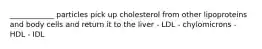 ____________ particles pick up cholesterol from other lipoproteins and body cells and return it to the liver - LDL - chylomicrons - HDL - IDL