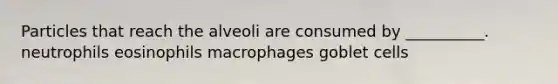 Particles that reach the alveoli are consumed by __________. neutrophils eosinophils macrophages goblet cells