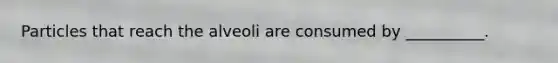 Particles that reach the alveoli are consumed by __________.