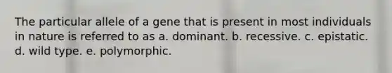 The particular allele of a gene that is present in most individuals in nature is referred to as a. dominant. b. recessive. c. epistatic. d. wild type. e. polymorphic.