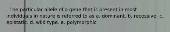 . The particular allele of a gene that is present in most individuals in nature is referred to as a. dominant. b. recessive. c. epistatic. d. wild type. e. polymorphic