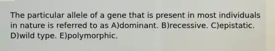 The particular allele of a gene that is present in most individuals in nature is referred to as A)dominant. B)recessive. C)epistatic. D)wild type. E)polymorphic.