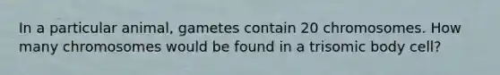 In a particular animal, gametes contain 20 chromosomes. How many chromosomes would be found in a trisomic body cell?