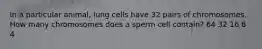 In a particular animal, lung cells have 32 pairs of chromosomes. How many chromosomes does a sperm cell contain? 64 32 16 8 4