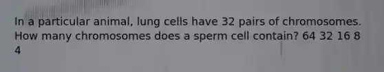 In a particular animal, lung cells have 32 pairs of chromosomes. How many chromosomes does a sperm cell contain? 64 32 16 8 4