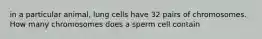 in a particular animal, lung cells have 32 pairs of chromosomes. How many chromosomes does a sperm cell contain