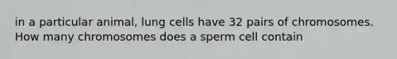 in a particular animal, lung cells have 32 pairs of chromosomes. How many chromosomes does a sperm cell contain