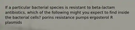 If a particular bacterial species is resistant to beta-lactam antibiotics, which of the following might you expect to find inside the bacterial cells? porins resistance pumps ergosterol R plasmids