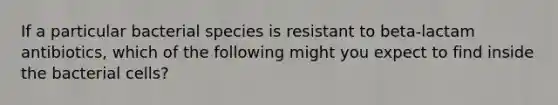 If a particular bacterial species is resistant to beta-lactam antibiotics, which of the following might you expect to find inside the bacterial cells?