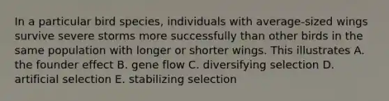 In a particular bird species, individuals with average-sized wings survive severe storms more successfully than other birds in the same population with longer or shorter wings. This illustrates A. the founder effect B. gene flow C. diversifying selection D. artificial selection E. stabilizing selection