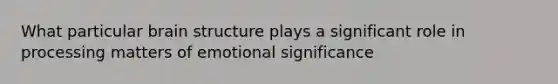 What particular brain structure plays a significant role in processing matters of emotional significance