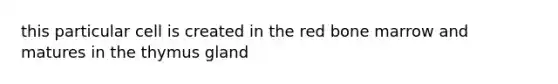 this particular cell is created in the red bone marrow and matures in the thymus gland