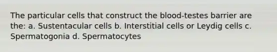 The particular cells that construct the blood-testes barrier are the: a. Sustentacular cells b. Interstitial cells or Leydig cells c. Spermatogonia d. Spermatocytes