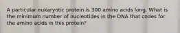 A particular eukaryotic protein is 300 amino acids long. What is the minimum number of nucleotides in the DNA that codes for the amino acids in this protein?