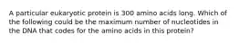 A particular eukaryotic protein is 300 amino acids long. Which of the following could be the maximum number of nucleotides in the DNA that codes for the amino acids in this protein?