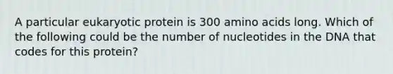 A particular eukaryotic protein is 300 amino acids long. Which of the following could be the number of nucleotides in the DNA that codes for this protein?