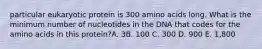 particular eukaryotic protein is 300 amino acids long. What is the minimum number of nucleotides in the DNA that codes for the amino acids in this protein?A. 3B. 100 C. 300 D. 900 E. 1,800