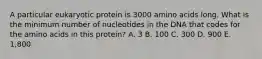 A particular eukaryotic protein is 3000 amino acids long. What is the minimum number of nucleotides in the DNA that codes for the amino acids in this protein? A. 3 B. 100 C. 300 D. 900 E. 1,800