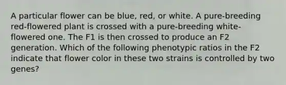 A particular flower can be blue, red, or white. A pure-breeding red-flowered plant is crossed with a pure-breeding white-flowered one. The F1 is then crossed to produce an F2 generation. Which of the following phenotypic ratios in the F2 indicate that flower color in these two strains is controlled by two genes?