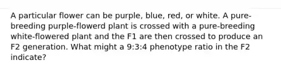 A particular flower can be purple, blue, red, or white. A pure-breeding purple-flowerd plant is crossed with a pure-breeding white-flowered plant and the F1 are then crossed to produce an F2 generation. What might a 9:3:4 phenotype ratio in the F2 indicate?