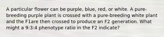 A particular flower can be purple, blue, red, or white. A pure-breeding purple plant is crossed with a pure-breeding white plant and the F1are then crossed to produce an F2 generation. What might a 9:3:4 phenotype ratio in the F2 indicate?