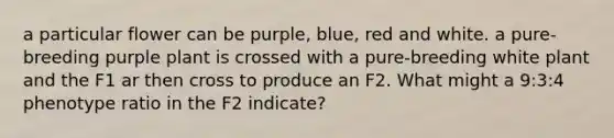 a particular flower can be purple, blue, red and white. a pure-breeding purple plant is crossed with a pure-breeding white plant and the F1 ar then cross to produce an F2. What might a 9:3:4 phenotype ratio in the F2 indicate?