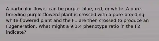 A particular flower can be purple, blue, red, or white. A pure-breeding purple-flowerd plant is crossed with a pure-breeding white-flowered plant and the F1 are then crossed to produce an F2generation. What might a 9:3:4 phenotype ratio in the F2 indicate?