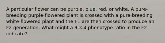 A particular flower can be purple, blue, red, or white. A pure-breeding purple-flowered plant is crossed with a pure-breeding white-flowered plant and the F1 are then crossed to produce an F2 generation. What might a 9:3:4 phenotype ratio in the F2 indicate?