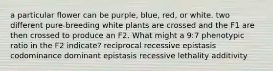 a particular flower can be purple, blue, red, or white. two different pure-breeding white plants are crossed and the F1 are then crossed to produce an F2. What might a 9:7 phenotypic ratio in the F2 indicate? reciprocal recessive epistasis codominance dominant epistasis recessive lethality additivity