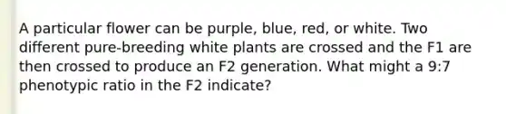 A particular flower can be purple, blue, red, or white. Two different pure-breeding white plants are crossed and the F1 are then crossed to produce an F2 generation. What might a 9:7 phenotypic ratio in the F2 indicate?