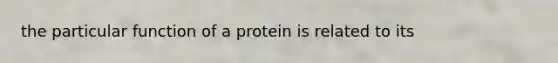 the particular function of a protein is related to its