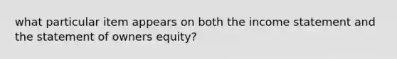 what particular item appears on both the income statement and the statement of owners equity?