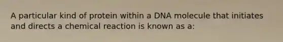 A particular kind of protein within a DNA molecule that initiates and directs a chemical reaction is known as a: