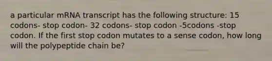 a particular mRNA transcript has the following structure: 15 codons- stop codon- 32 codons- stop codon -5codons -stop codon. If the first stop codon mutates to a sense codon, how long will the polypeptide chain be?