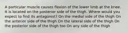 A particular muscle causes flexion of the lower limb at the knee. It is located on the posterior side of the thigh. Where would you expect to find its antagonist? On the medial side of the thigh On the anterior side of the thigh On the lateral side of the thigh On the posterior side of the thigh too On any side of the thigh