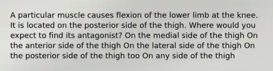 A particular muscle causes flexion of the lower limb at the knee. It is located on the posterior side of the thigh. Where would you expect to find its antagonist? On the medial side of the thigh On the anterior side of the thigh On the lateral side of the thigh On the posterior side of the thigh too On any side of the thigh