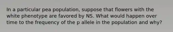 In a particular pea population, suppose that flowers with the white phenotype are favored by NS. What would happen over time to the frequency of the p allele in the population and why?