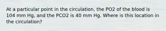 At a particular point in the circulation, the PO2 of the blood is 104 mm Hg, and the PCO2 is 40 mm Hg. Where is this location in the circulation?